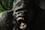 King Kong